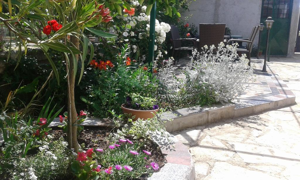 Apartments"Nika" With Private Pool Galovac  Ngoại thất bức ảnh
